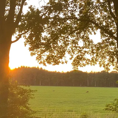 De Kleine Eekhoorn Tatil Evi Lage Mierde