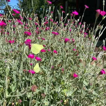 De Kleine Eekhoorn Casa de Férias