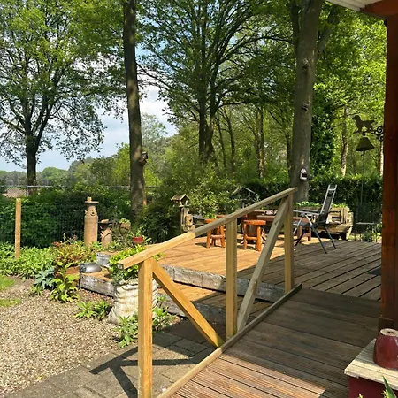 De Kleine Eekhoorn Lage Mierde