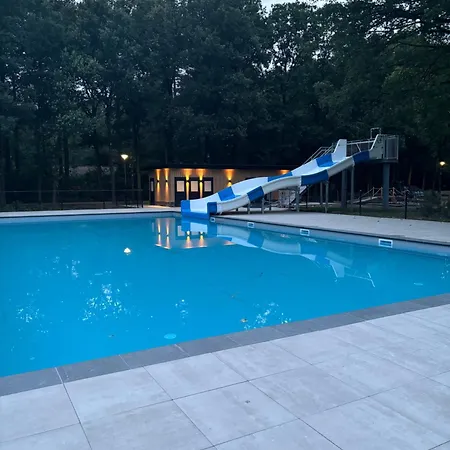 De Kleine Eekhoorn *