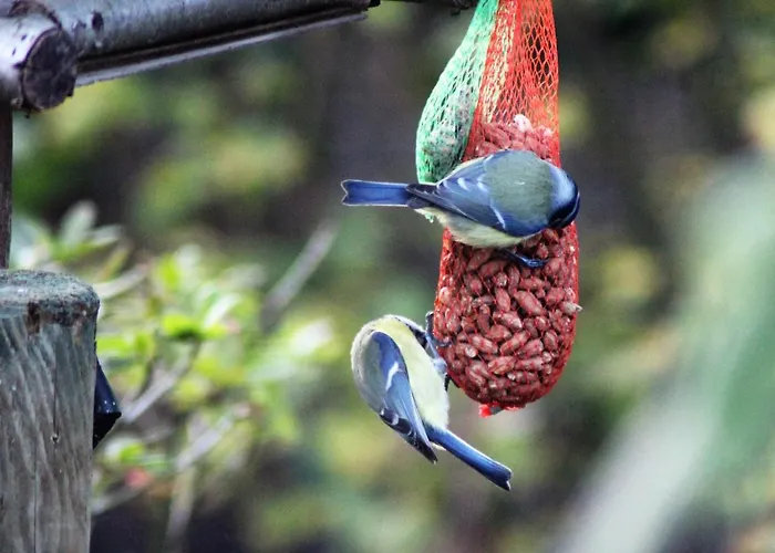 Hébergement de vacances De Kleine Eekhoorn