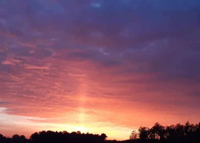 De Kleine Eekhoorn * Lage Mierde