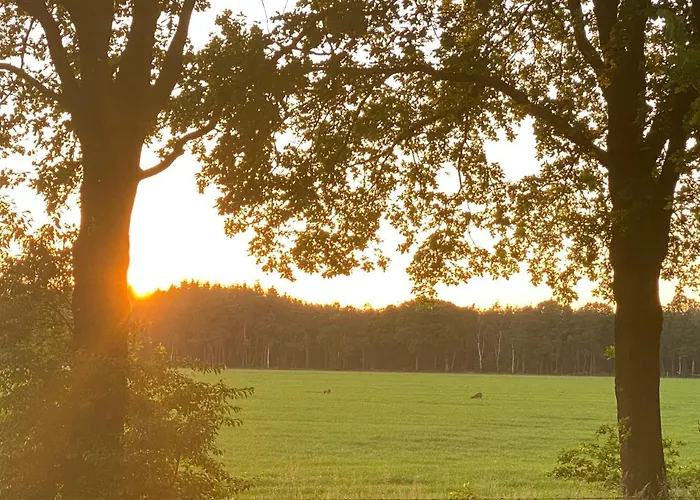 De Kleine Eekhoorn Hébergement de vacances Lage Mierde