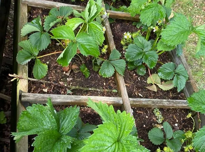 Hébergement de vacances De Kleine Eekhoorn Lage Mierde