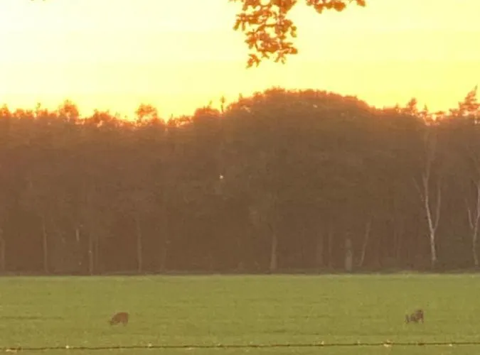 De Kleine Eekhoorn Hébergement de vacances Lage Mierde
