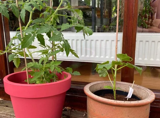 Hébergement de vacances De Kleine Eekhoorn *