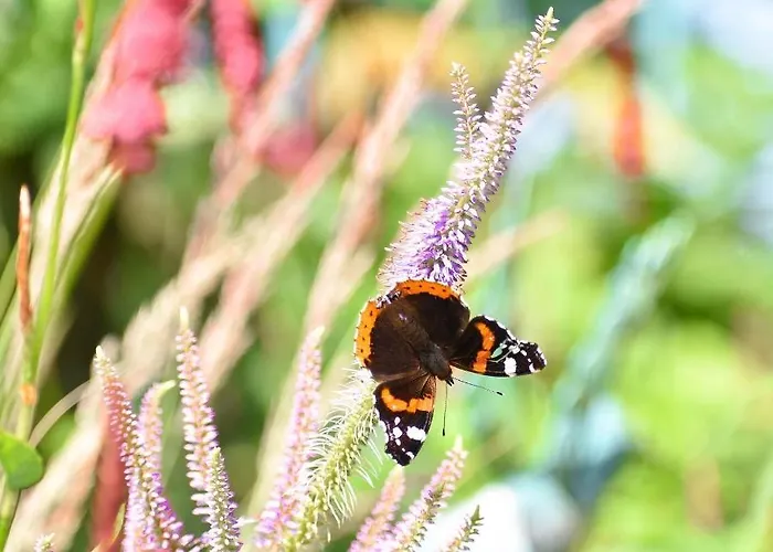 بيت للعطل De Kleine Eekhoorn Lage Mierde