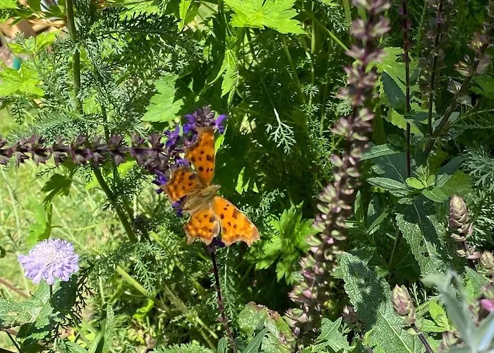 Hébergement de vacances De Kleine Eekhoorn Lage Mierde