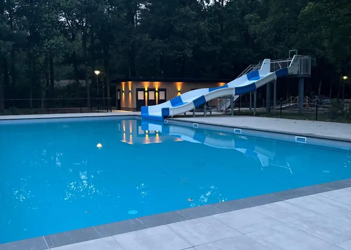 De Kleine Eekhoorn *