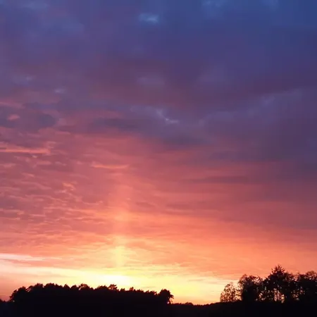 De Kleine Eekhoorn * Lage Mierde