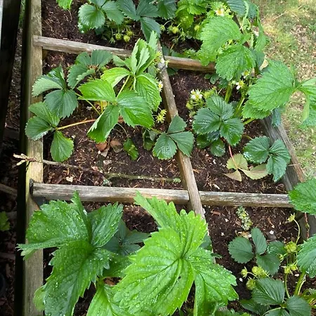 Casa vacanze De Kleine Eekhoorn Lage Mierde