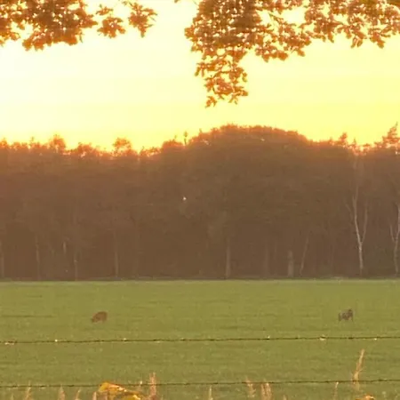 De Kleine Eekhoorn Casa vacanze Lage Mierde